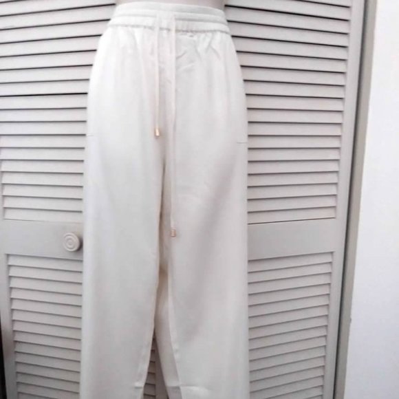 SOFT SURROUNDINGS Ivory Silk Cargo Pants - Picture 3 of 4